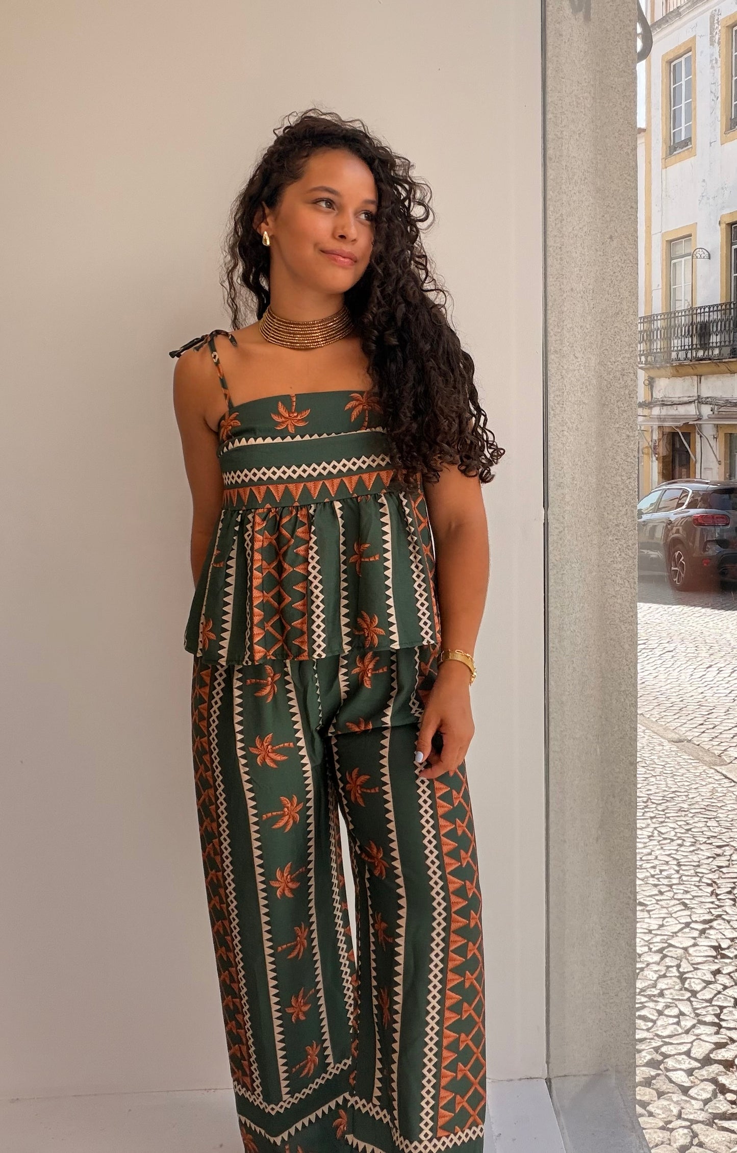 CONJUNTO PALMEIRA VERDE