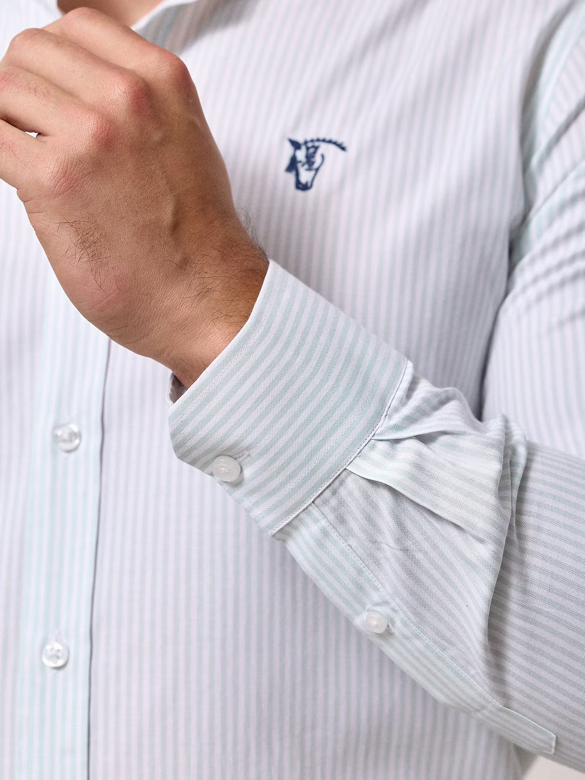 Camisa Oxford Listrada | Verde Sálvia