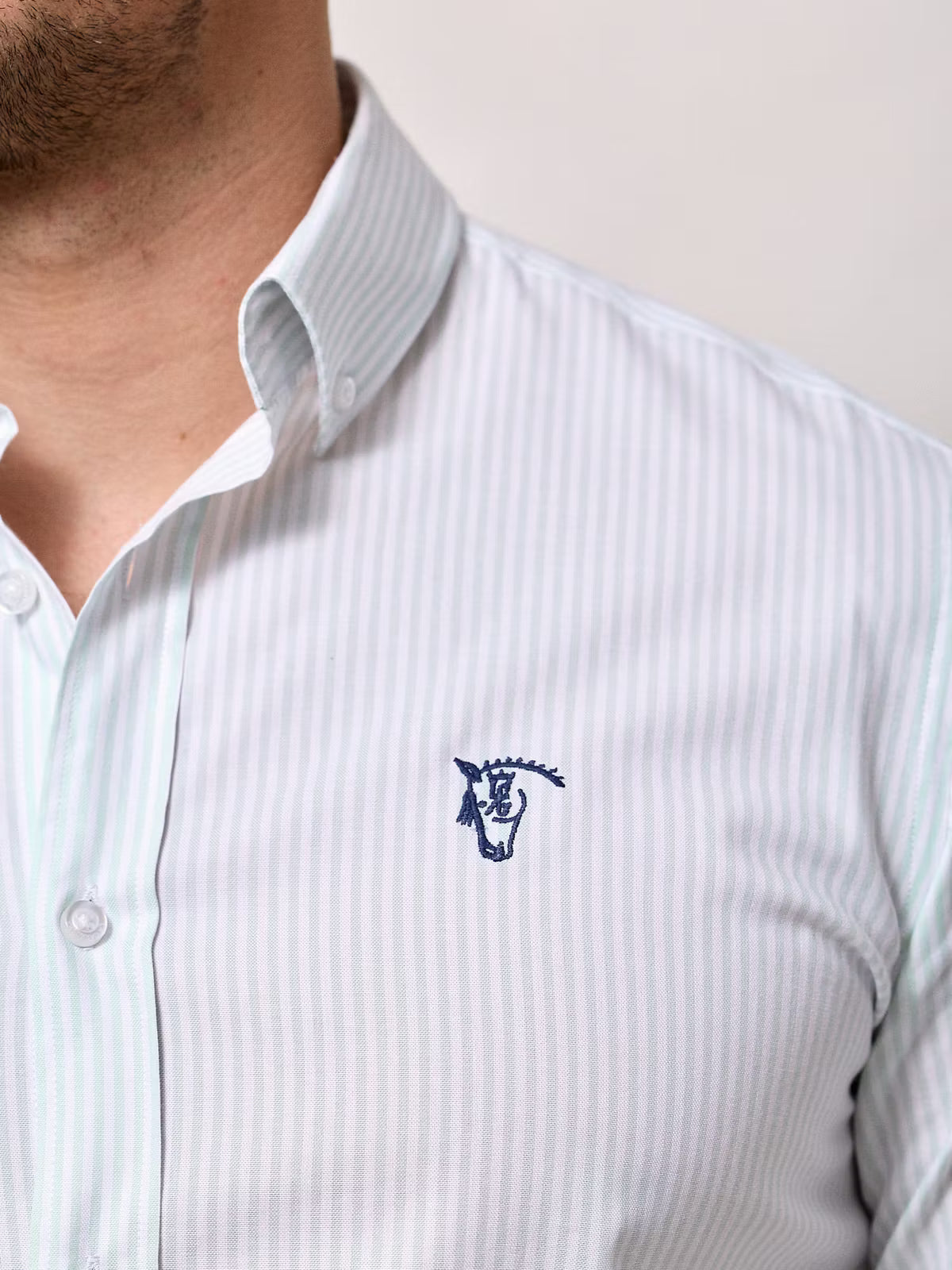 Camisa Oxford Listrada | Verde Sálvia